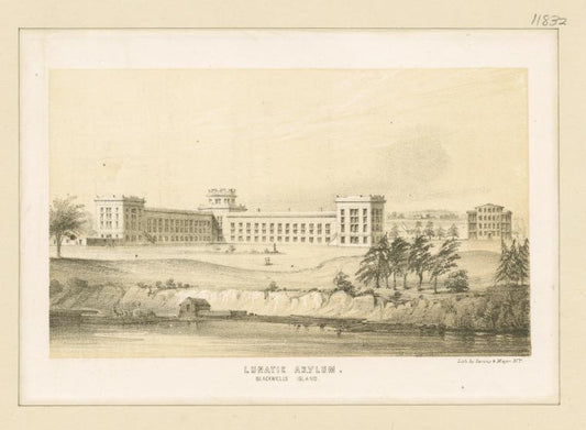 Lunatic Asylum, Blackwell's Island
