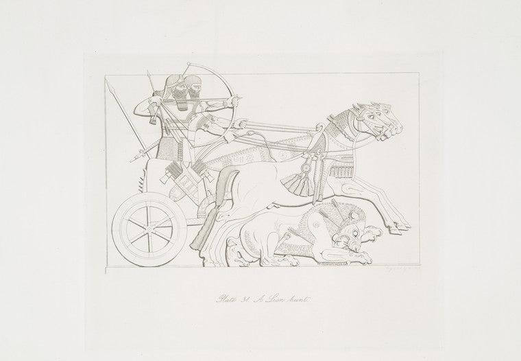 A lion hunt.