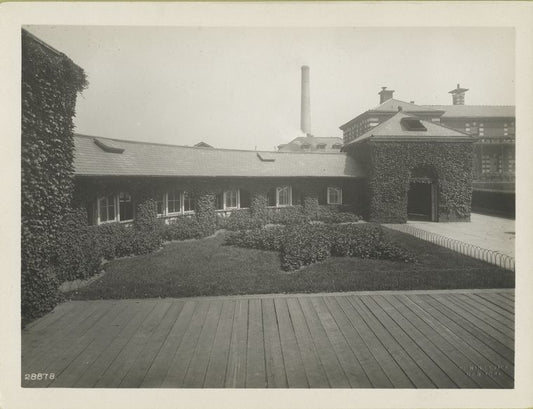 Ivy-covered exterior of Ellis Island building.