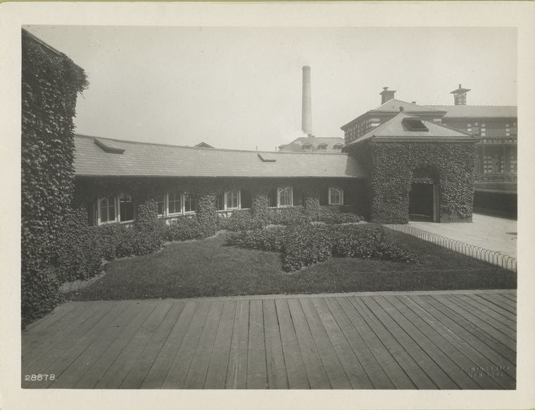 Ivy-covered exterior of Ellis Island building.