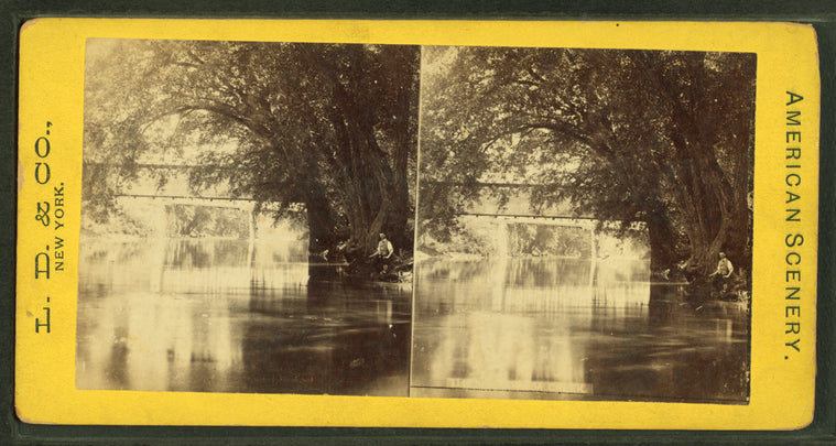 Catawissa Creek. [Along the banks, under a bridge.]