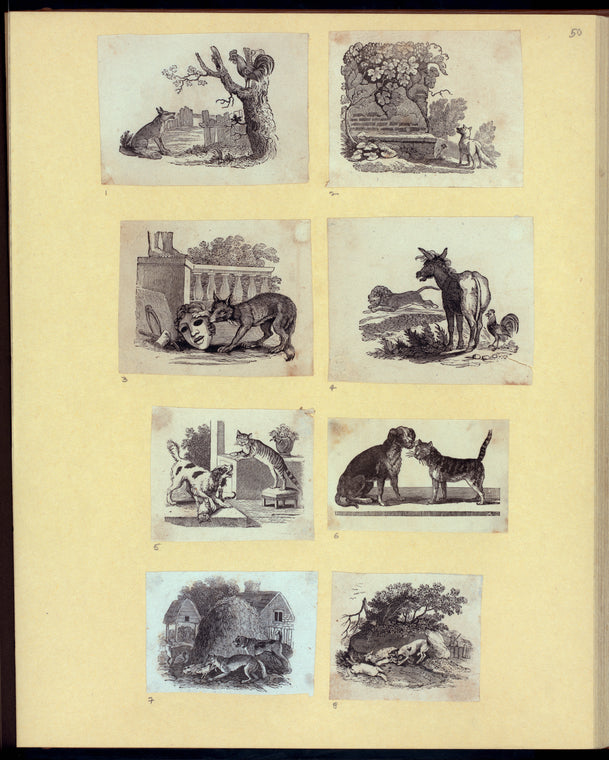 Dog, cat, fox, wolf, lion, donkey, and a chicken.