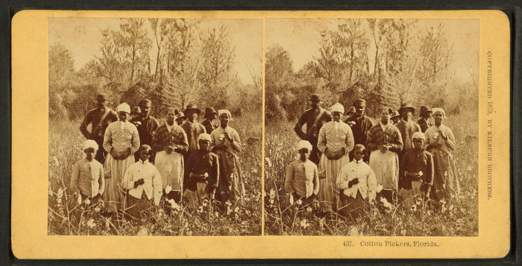 Cotton pickers, Florida.
