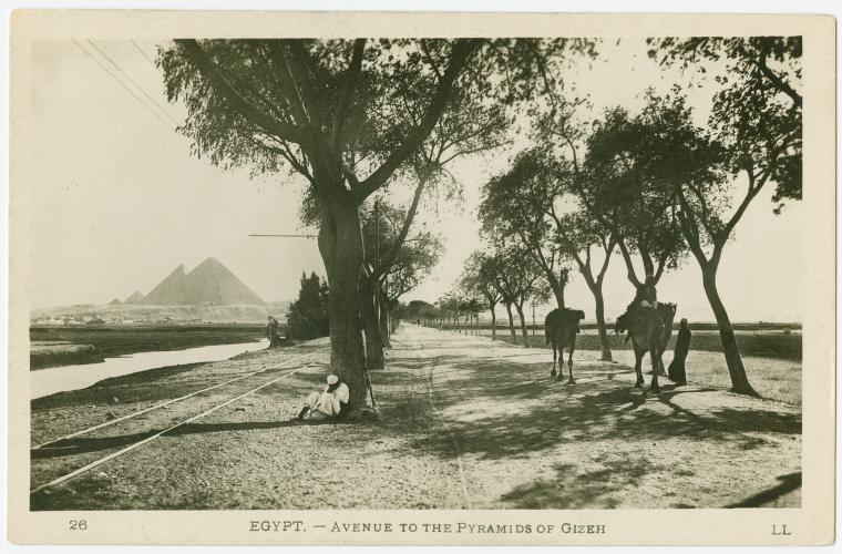 Egypt: Avenue to the pyramids of Gizeh