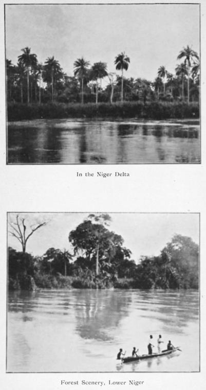 The Niger Delta; Forest scenery, Lower Niger.