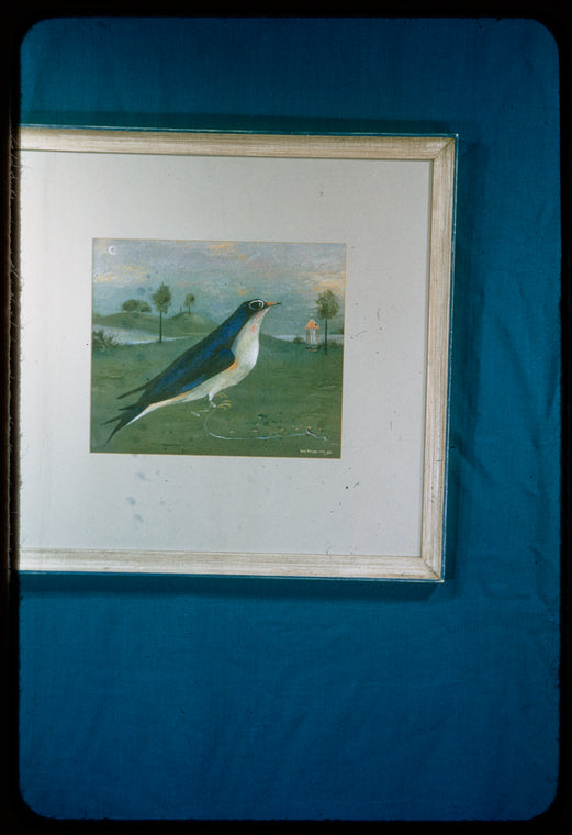 Frontpiece for "The Bluebird Variation"