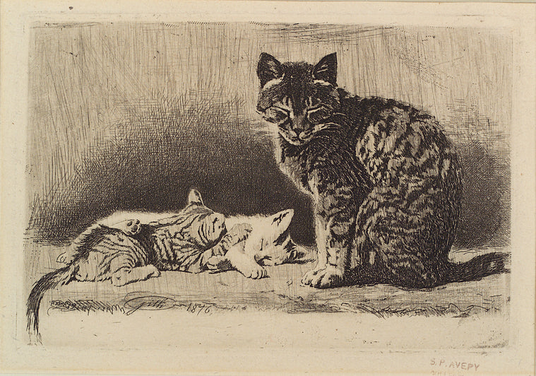 Cats.