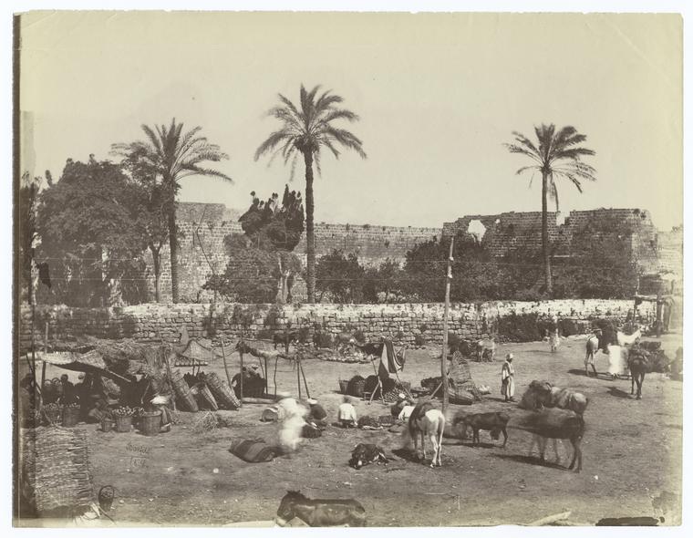 Marketplace of Joppa, Palestine