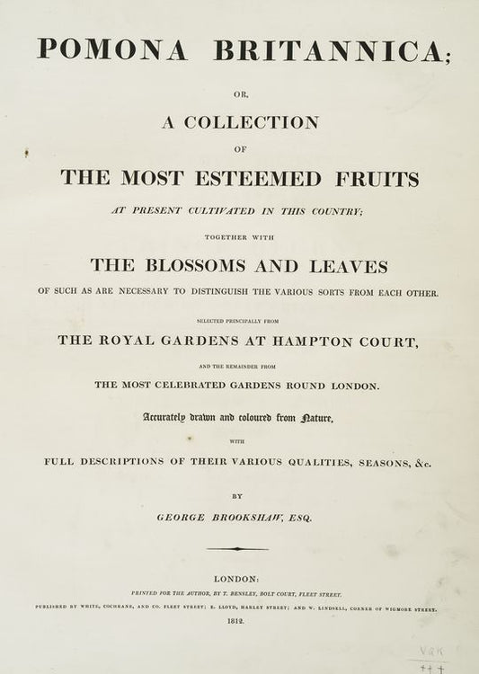 Pomona Britannica: or, A collection of the most esteemed fruits ... with the blossoms and leaves ...
