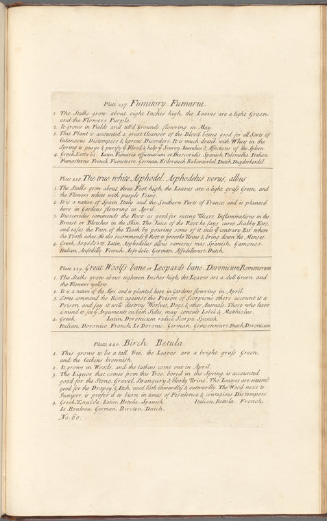 No. 60: Fumitory; The true white asphodel; Great woolf's-bane or leopard's-bane; Birch