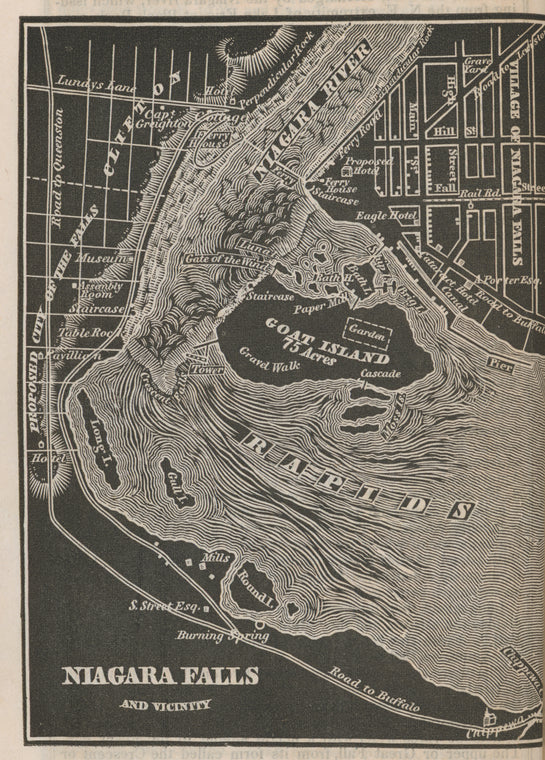 Niagara Falls and vicinity