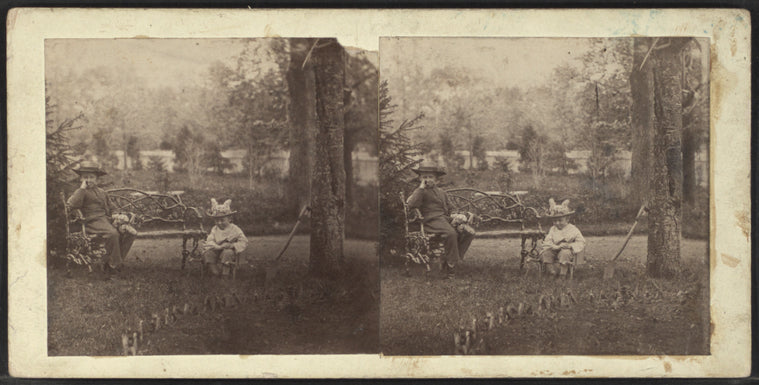 Two boys sitting in a garden.