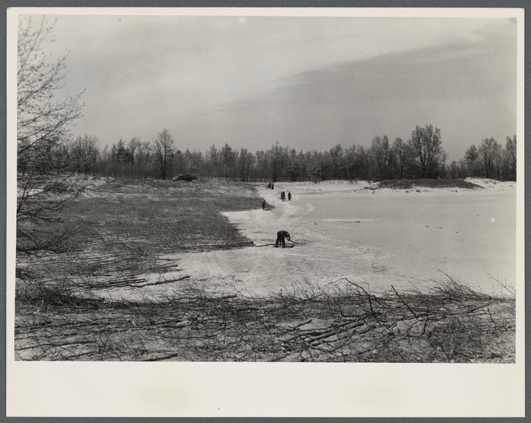 Wind erosion control. Branches placed on sand in direction of prevailing winds. Michigan.