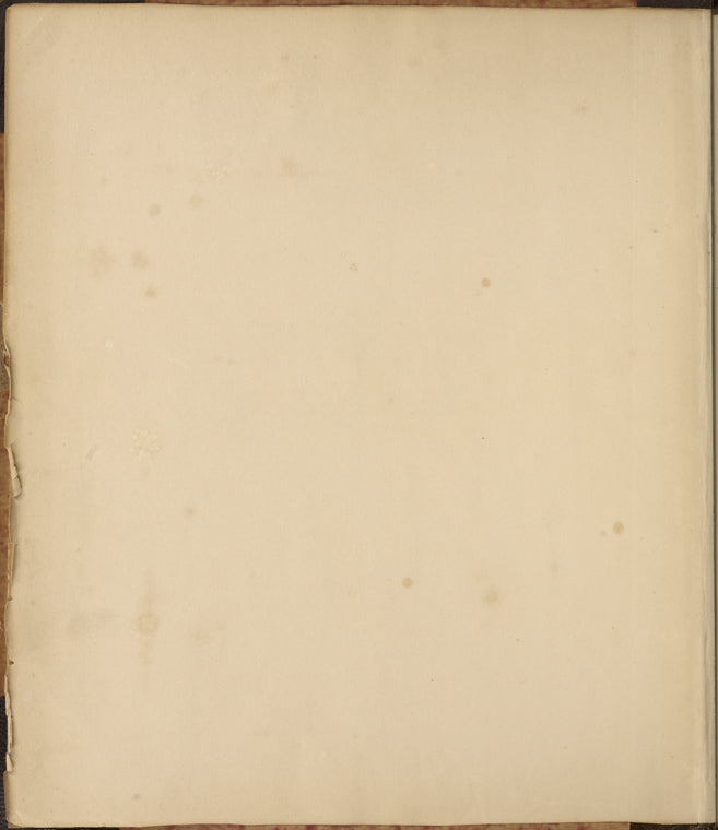 Holograph novel, Cloudesley