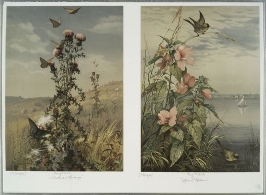 Thistle and Landscape; Marsh Mallow.