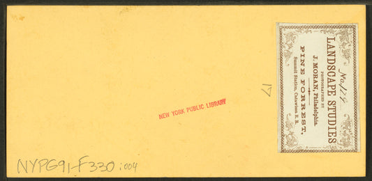 Pine forrest [sic], Summit Station, Catawissa R.R.