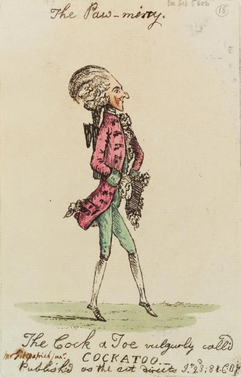 The Paw-miny. The cock a toe vulgurly call'd cockatoo.