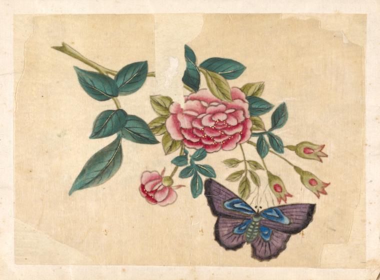 Purple butterfly with pink flower