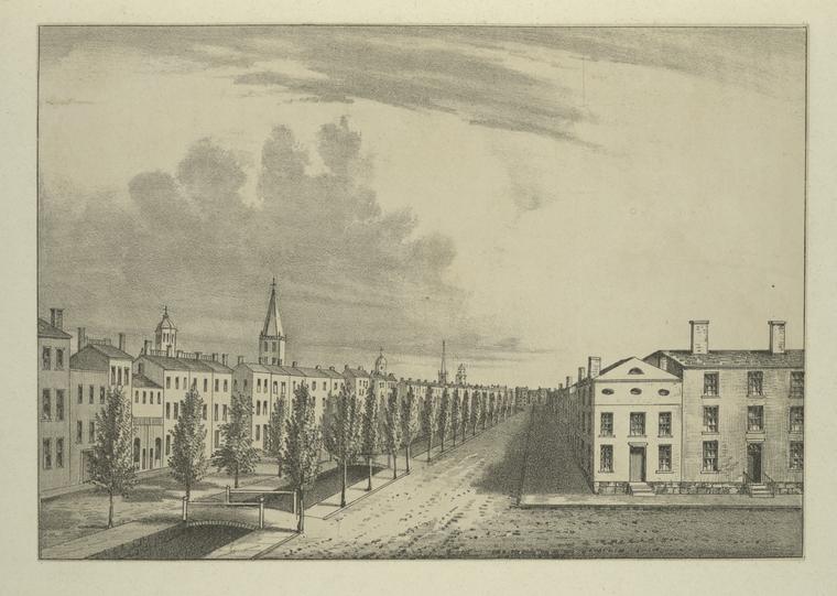 Perspective view of Canal Street.