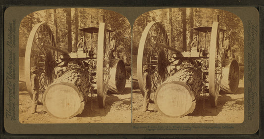 Huge Steam Traction Dray (13 Ft. wheels)hauling logs in a logging camp, California.