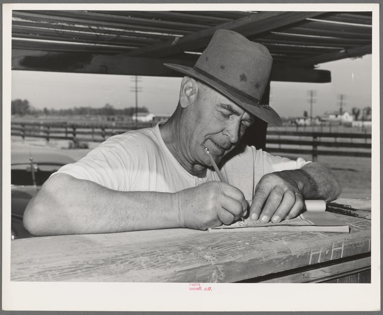 Cattleman. Imperial County, California