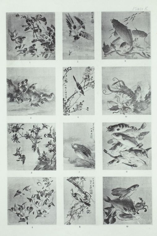 Four pages from a book of drawings of fishes.