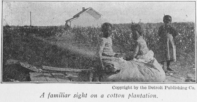 A familiar sight on a cotton plantation.