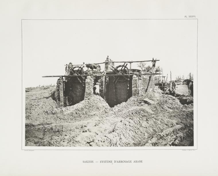 Sakieh (système d'arrosage arabe, A).