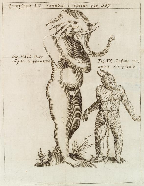 Iconismus IX. Ponatur è regione. Fig. VIII. Puer capite elephantino; Fig. IX. Infans cornutus ore patulo
