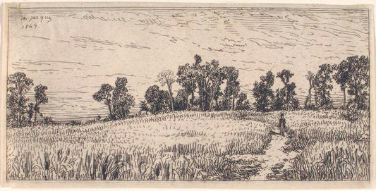 Champ de blé.