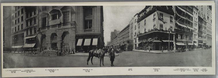 No. 550 L.P. Hollander & Co. - Dreicer & Co. - West 46th St. - Pickslay, jeweler - No. 572 Budd, haberdasher.