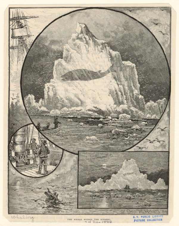 The whale within the iceberg
