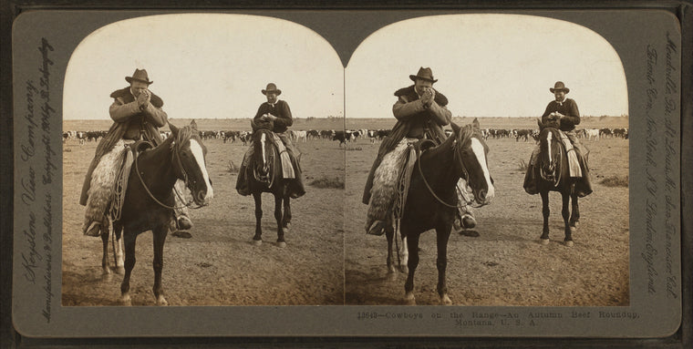 Cowboys on the range--an autumn beef roundup, Montana, U.S.A.