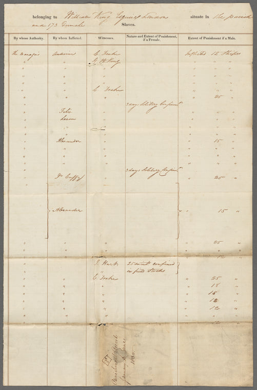 Punishment record books of Friendship Plantation