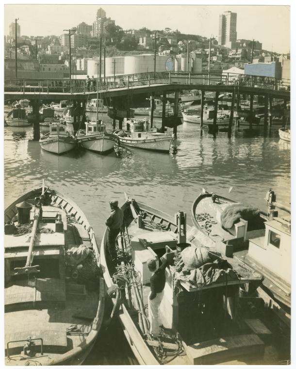 Boats in San Francisco Bay