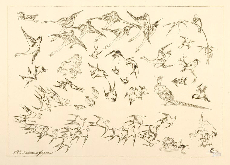 Oiseaux japonais.