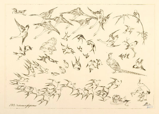 Oiseaux japonais.