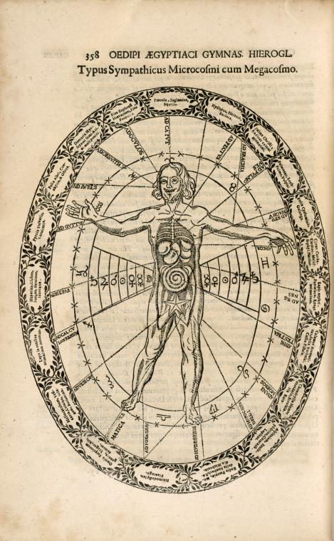 Typus Sympathicus Microcosmi cum Megacosmo.
