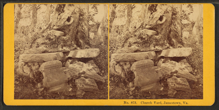 Church yard, Jamestown, Va.