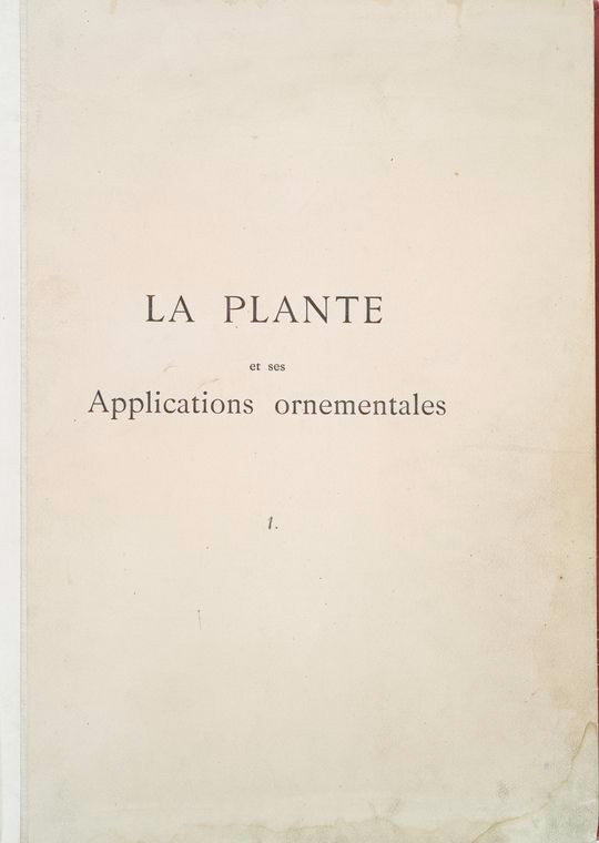 La plante et ses applications ornementales...