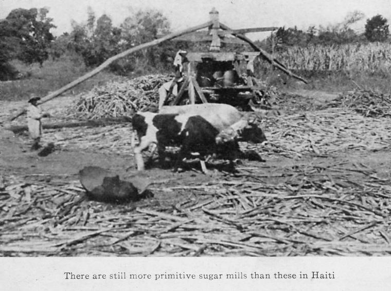 There are still more primitive sugar mills than these in Haiti.