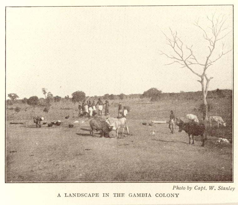 A landscape in the Gambia colony.