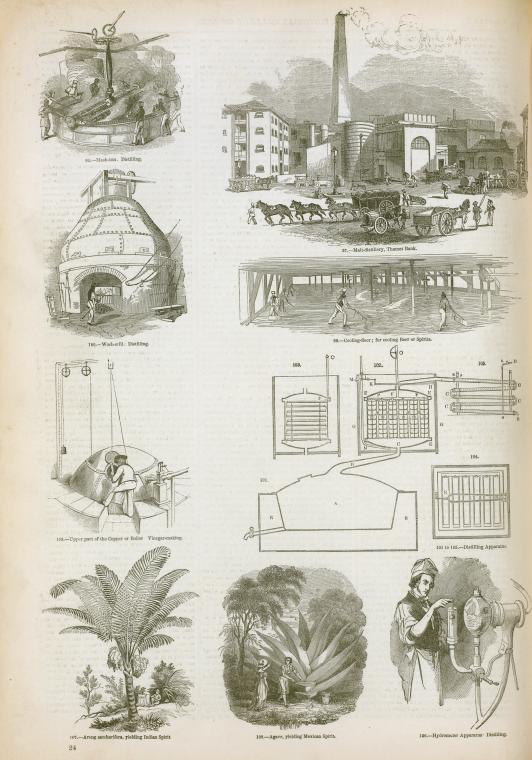 Alcoholic beverages : plants and distillation; vinegar manufacture