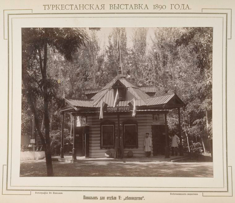 Pavil'on dlia otdela V: "lesovodstvo".