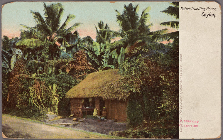 Native dwelling house.  Ceylon.