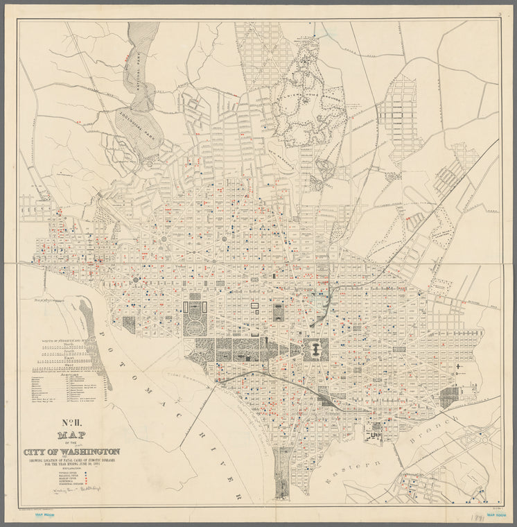 Map of the city of Washington showing location of fatal cases of zymotic diseases for the year ending June 30, 1891