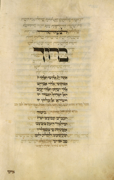Book of Jonah [cont.].