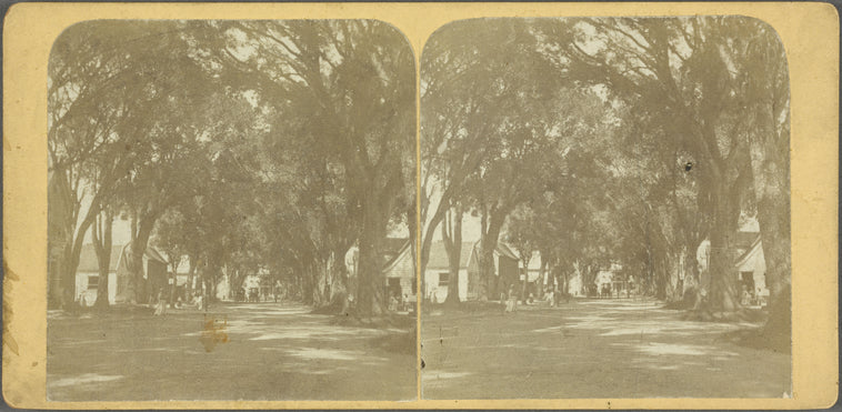 Heerestraat, Paramaribo (Surinam)