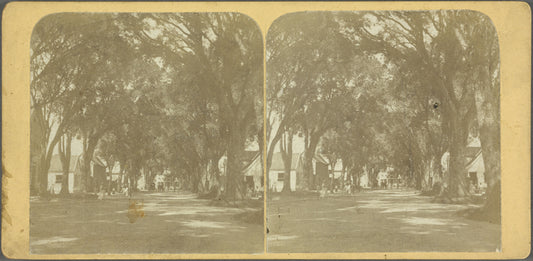 Heerestraat, Paramaribo (Surinam)