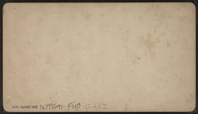 Elmira Water Cure.